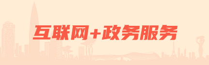 互聯網+政務服務